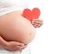 Pregnant's woman belly with heart